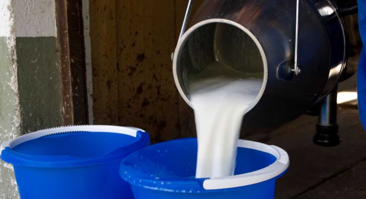 കുടിവെള്ള ക്ഷാമവും ചൂടും വർധിച്ചു, ക്ഷീരകർഷകർ ദുരിതത്തിൽ