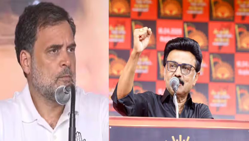 'ஸ்டாலினை மோடியால் கட்டுப்படுத்தவே முடியாது...' ராகுல் காந்தி கொடுத்த நாக்அவுட் பஞ்ச்