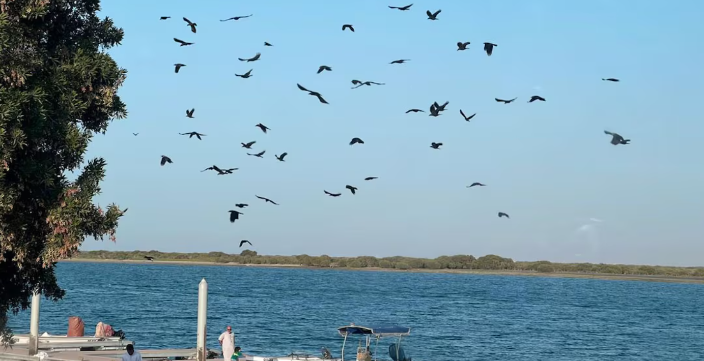 യുഎഇയിൽ തെളിഞ്ഞ കാലാവസ്ഥ; ദുബായിൽ താപനില 20 ഡിഗ്രി സെൽഷ്യസിലേക്ക് താഴാൻ സാധ്യത