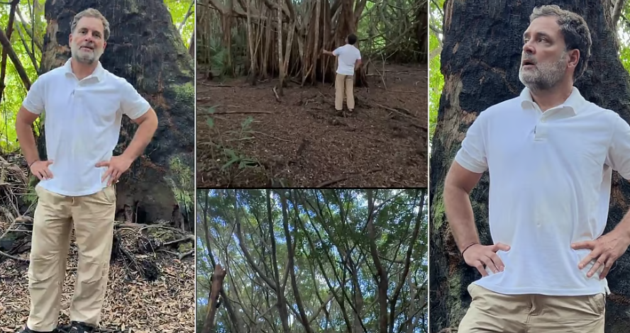 ‘கிரேட் நிகோபார்’ திட்டமே மிகப் பெரிய மோசடி: களப் பயணத்தில் ராகுல் காந்தி விவரிப்பு