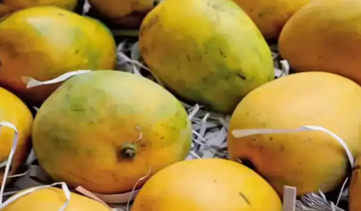 வியாபாரிகளே உஷார்..! ரசாயன முறையில் மாம்பழங்கள் பழுக்க வைத்தால் ரூ.5000 அபராதம்..!