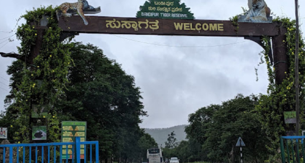 ബന്ദിപ്പൂരിലും നാഗര്‍ഹോളെയിലും ഇനി നോ സെല്‍ഫി