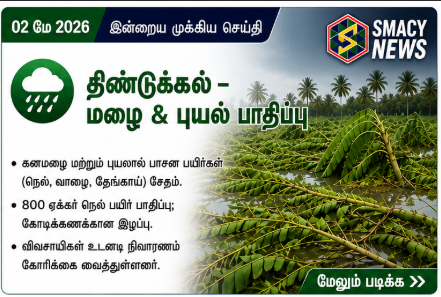 திண்டுக்கல் – மழை & புயல் பாதிப்பு