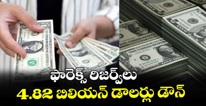 ఫారెక్స్ రిజర్వ్‌‌లు 4.82 బిలియన్ డాలర్లు డౌన్‌‌