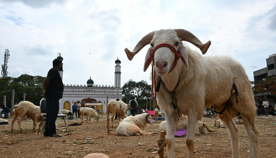 உ.பி., மேற்கு வங்க மாநிலங்களை அடுத்து டெல்லியில் பக்ரீத்துக்குப் பலியிட கட்டுப்பாடு