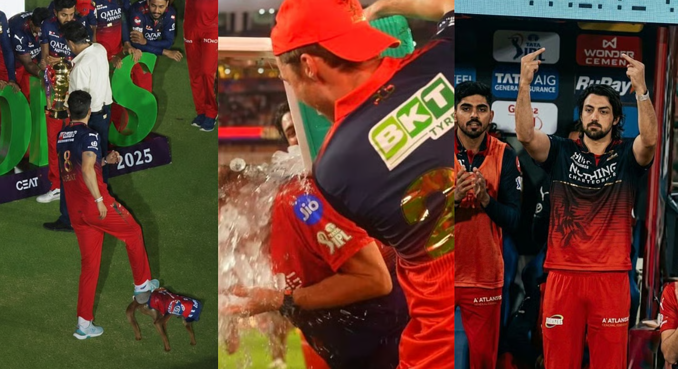 2027 ஐபிஎல்லில் 1 போட்டியில் விளையாட தடை.. டிம் டேவிட் மீது BCCI நடவடிக்கை!
