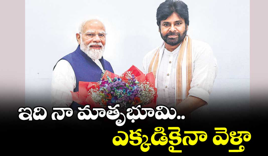 ఇది నా మాతృభూమి.. ఎక్కడికైనా వెళ్తా : పవన్‌‌ కల్యాణ్
