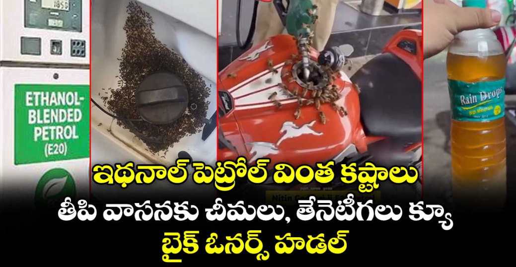 ఇథనాల్ పెట్రోల్ వింత కష్టాలు: తీపి వాసనకు చీమలు, తేనెటీగలు క్యూ.. బైక్ ఓనర్స్ హడల్