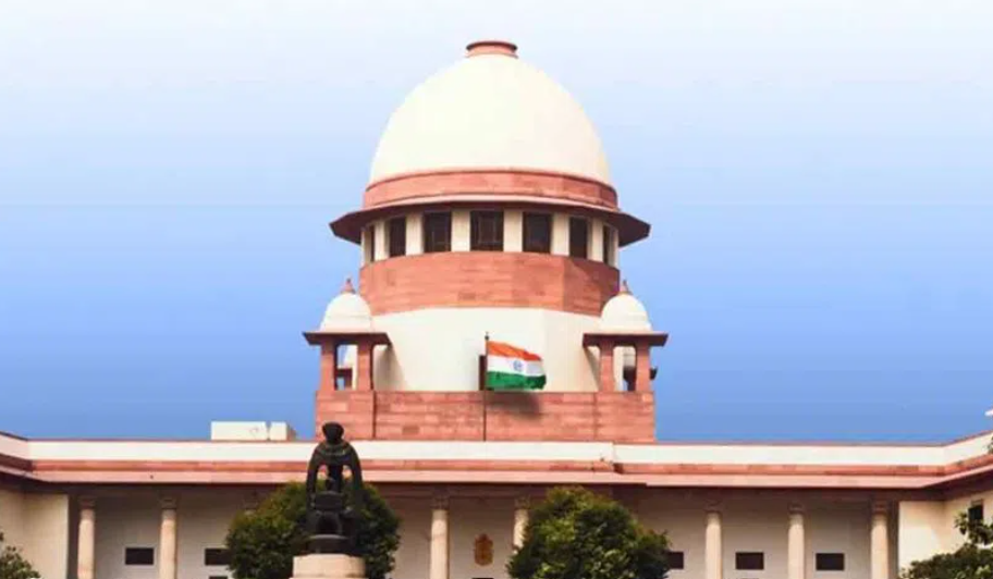 పల్సస్‌ గ్రూపునకు సుప్రీంలో ఊరట
