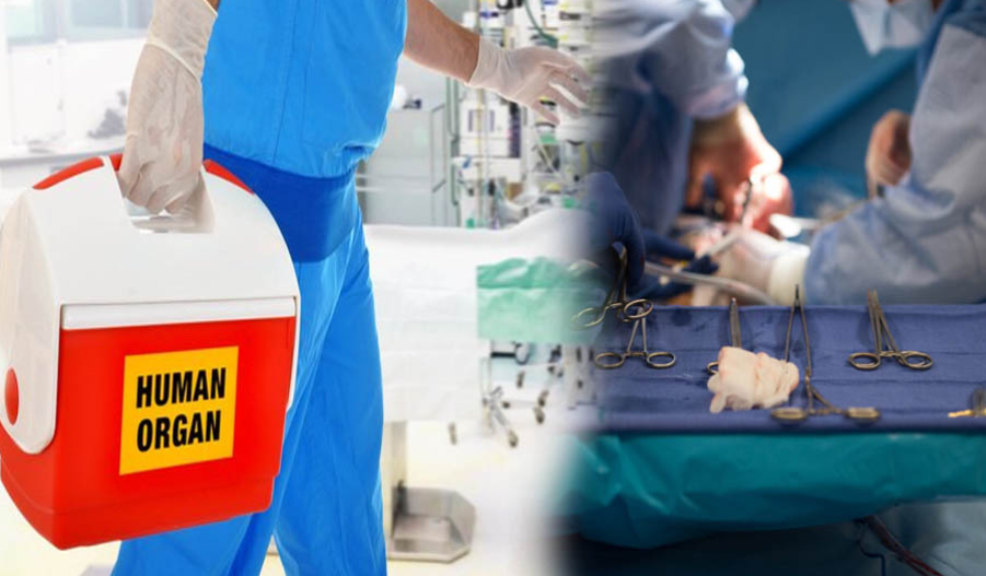 അവയവദാനമാഫിയ: ‘ഓപ്പറേഷന്‍’ ഇവിടെ, സര്‍ജറി വിദേശത്ത്, വ്യാപകമായി കള്ളപ്പണ ഇടപാടും