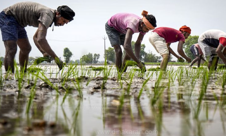 தவெக அரசைக் கண்டித்து சென்னையில் ஜூலை 7ம் தேதி பேரணி நடத்தவுள்ளதாக விவசாயிகள் அறிவிப்பு!