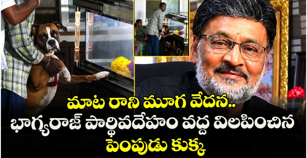 Bhagyaraj Pet Dog: మాట రాని మూగ వేదన.. భాగ్యరాజ్ పార్థివదేహం వద్ద విలపించిన పెంపుడు కుక్క