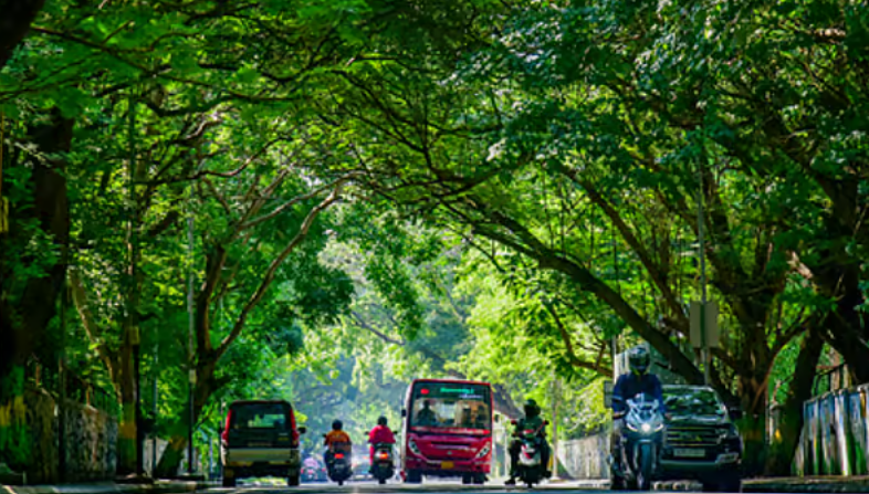 சென்னையை பசுமையாக்கும் புதிய திட்டம் தீவிரம்! பொதுமக்கள் பங்களிப்பும் அவசியம்!!