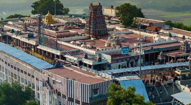 பழநி முருகன் கோயிலுக்கு கடந்த 6 ஆண்டுகளில் ரூ.1,414 கோடி வருவாய்!