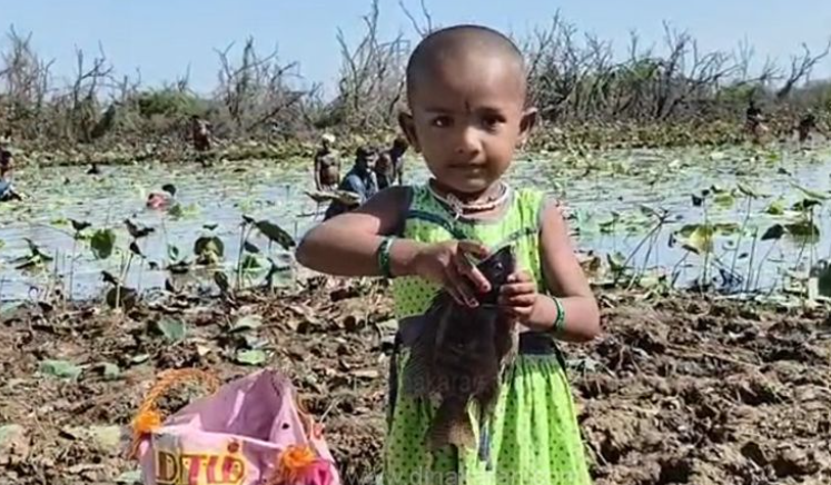 சிவகங்கையில் பிரம்மாண்ட பாரம்பரிய மீன்பிடி திருவிழா: கண்மாயில் ஒரே நேரத்தில் குதித்த 3,000 பேர்!
