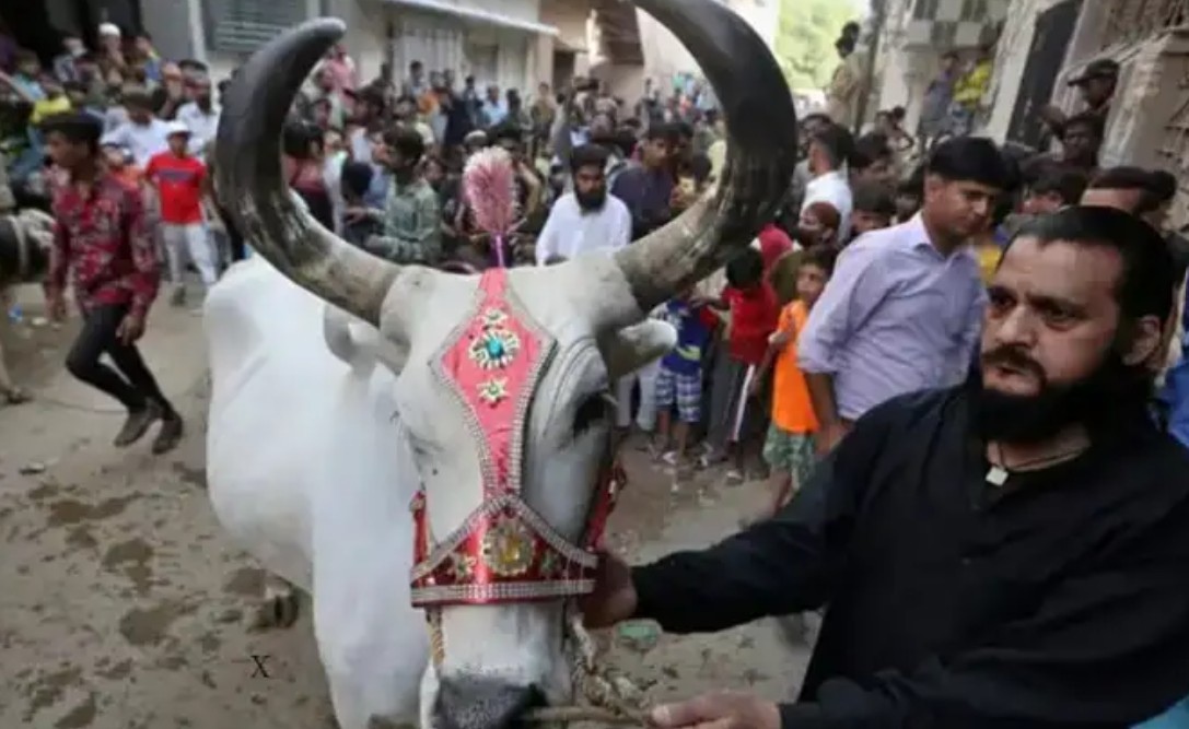 சென்னை உயர் நீதிமன்ற உத்தரவுக்கு உச்ச நீதிமன்றம் இடைக்காலத் தடை