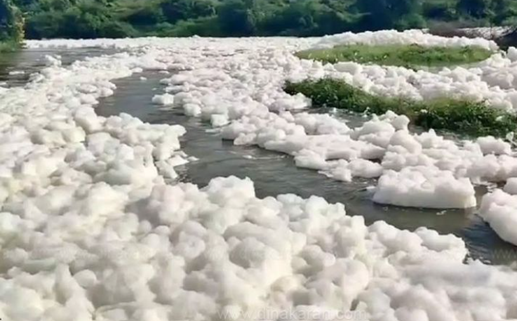 கெலவரப்பள்ளி அணை பகுதி தென்பெண்ணை ஆற்றில் நச்சு நுரை: இரு மாநில மாசு கட்டுப்பாட்டு வாரியத்திற்கு நோட்டீஸ்