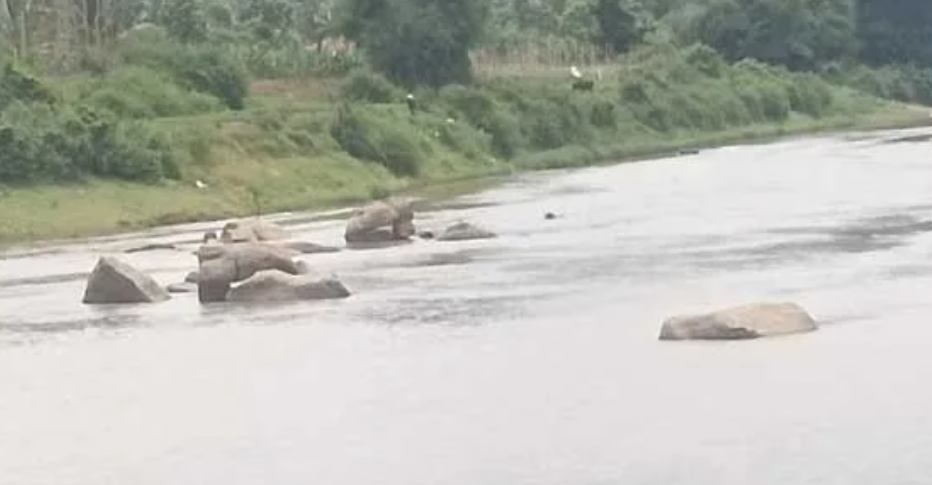 കാവേരി തര്‍ക്കവും വയനാട്ടിലെ പദ്ധതികളും