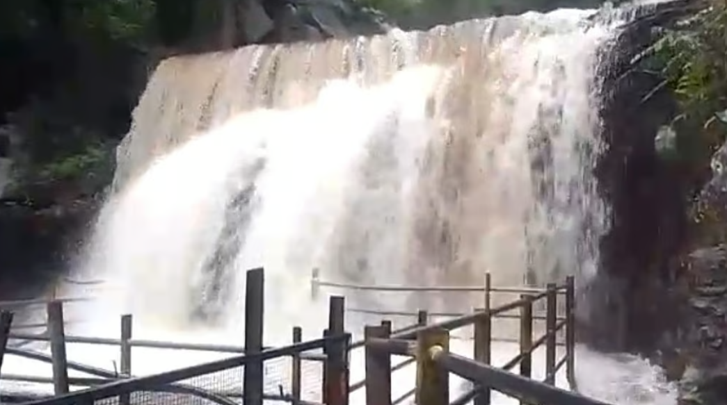 வெள்ளப்பெருக்கு: சுருளி அருவிக்கு சுற்றுலா பயணிகள் செல்ல வனத்துறை தடை