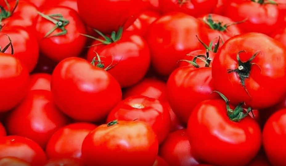 Tomato Price Today: தாறுமாறா குறைந்த தக்காளி விலை.! 