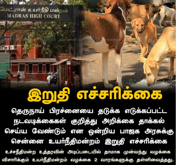 அதிகரிக்கும் தெருநாய் தொல்லைகள்.. அறிக்கை தாக்கல் செய்ய ஒன்றிய பாஜக அரசுக்கு உத்தரவு!