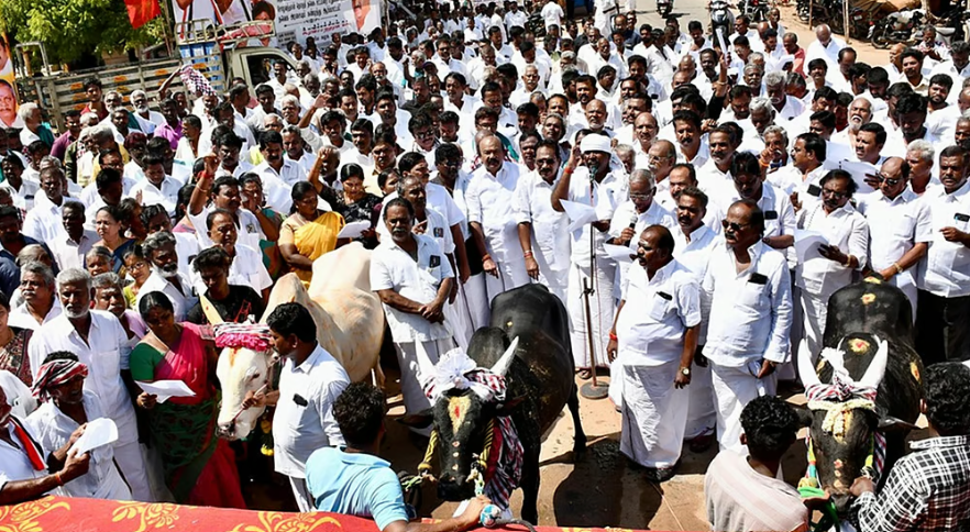 “ஜல்லிக்கட்டு சர்ச்சையில் முதல்வரின் மவுனம் சந்தேகத்தை ஏற்படுத்துகிறது” - ஆர்.பி.உதயகுமார்